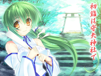 Sanae Kochiya, snake, blue, kochiya, kero, green, touhou, sanae, frog HD wallpaper