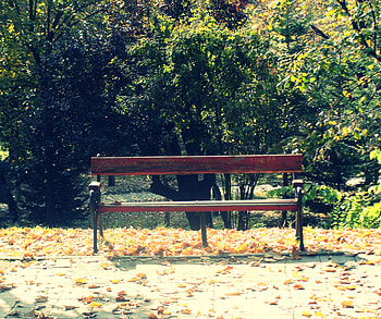A bank in autumn season, autumn, season, leaves, bank HD wallpaper