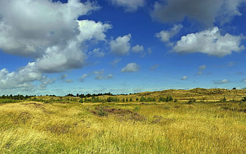 Relaxing field and fluffy clouds for and mobile s. HD wallpaper