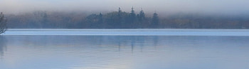 Derwent water, Early morning., Mist, Morning, Trees, Water, Derwent, lake, Misty HD wallpaper