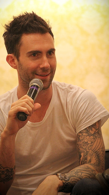 Adam Levine, hollywood singer, stereo HD phone wallpaper