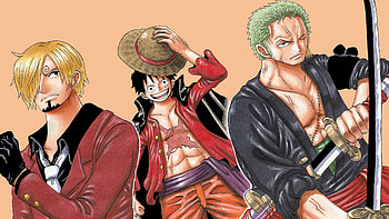 Monkey D. Luffy Roronoa Zoro Sanji One Piece HD wallpaper