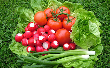 Food, Tomatoes, Salad, Onion, Redick HD wallpaper
