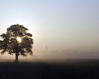 winter field, winter, field, cool, sun, feel, nice HD wallpaper