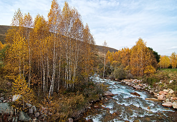 Landscape, Nature, Rivers, Trees, Hill HD wallpaper