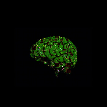 Miscellanea, Miscellaneous, Brain, Schemes, Circuitry, Microchip, Artificial Intelligence HD phone wallpaper