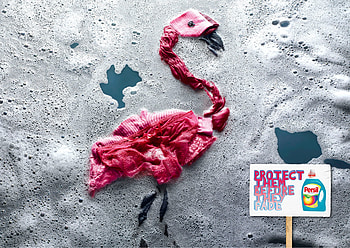 persil, funny, ads HD wallpaper