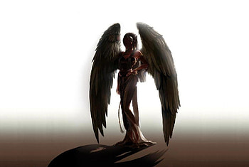Neamhain, games, shadow, white background, angel, mabinogi, long hair, dress, lone, silhouette, female, wings, black hair, angel wings, anime girl, anime, video games, solo HD wallpaper