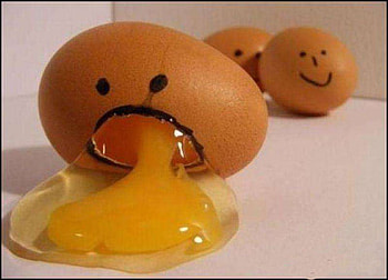 I feel sick today, fun, egs, , lol HD wallpaper