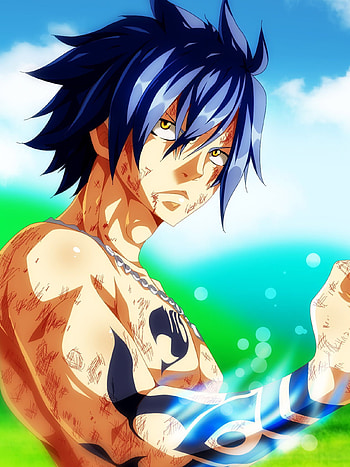 Gray Fullbuster, Aranza Reyes, Fairy Tail guild HD phone wallpaper