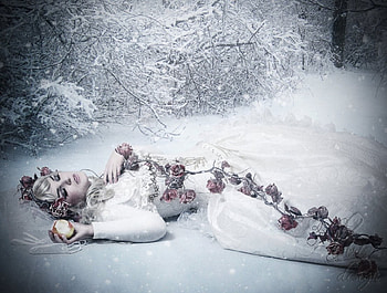 Frozen Rose, winter, rose, lady, frozen, snow HD wallpaper