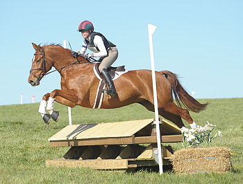 Emily Donaldson, Eventing HD wallpaper