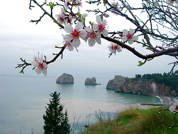 Landscape HD wallpaper