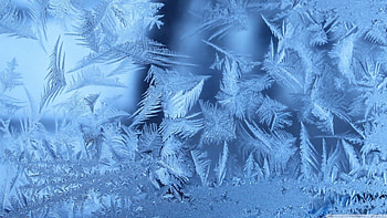 Frost, blue, bokeh, winter, frozen, graphy, , ice crystals, abstract, nature, , ice, macro HD wallpaper
