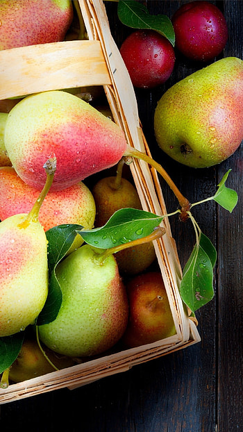Pear fruit, food , Tempting, Appetizing HD phone wallpaper