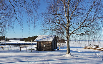 Winter Lake in Sweden, birches, winter, cabin, lake, Sweden HD wallpaper