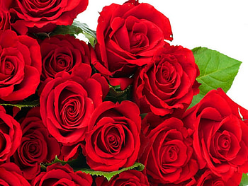 Red roses, bouquet, roses, pretty, red, beautiful, flowers, lovely HD wallpaper