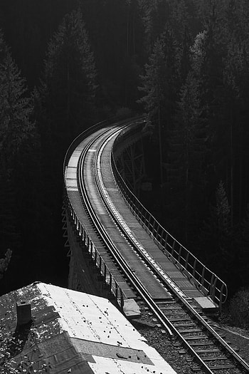 Nature, Trees, Forest, Bw, Chb, Railway, Rails HD phone wallpaper