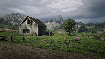 Red Dead Redemption 2 : Serene Ranch Life in the Wild West, video game, Red Dead Redemption 2 HD wallpaper