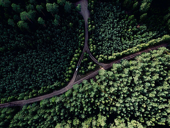 Dirt, pathway, aerial view, green trees HD wallpaper