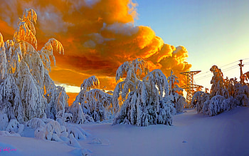 GOLDEN CLOUDS, Winter, R, Snow, Seasons, Clouds, Sky HD wallpaper