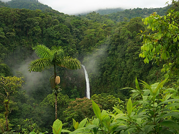 La Fortuna waterfall, Jungles HD wallpaper
