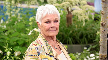 Judi Dench, Movies, TikTok dance challenge, SheKnows HD wallpaper