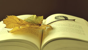 Best literature , Posted by Christopher Sellers, , Literature HD wallpaper