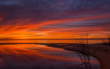 Nature, Sunset, Leaves, Horizon, Branch HD wallpaper