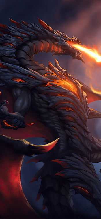fantasy, dragon HD phone wallpaper
