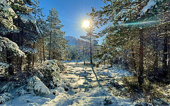 Loch an Eilein, Rothiemurchus, Scotland, trees, landscape, forestsun, snow, hills HD wallpaper