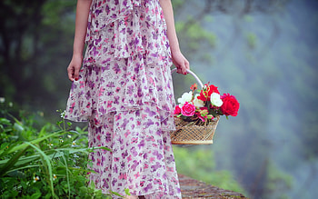 Plants, People, Flowers, Girls HD wallpaper
