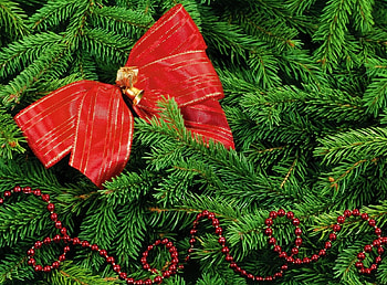 Holidays, Decorations, Branches, Needles, Bow, Christmas Tree HD wallpaper