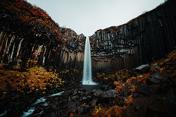 Waterfall Forest , waterfall, forest, nature HD wallpaper