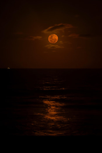 Sea, Night, Moon, Dark, Darkness HD phone wallpaper