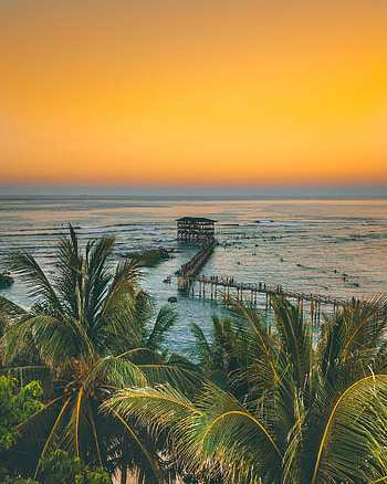 Nature, Sunset, Palms, Building, Pier, Ocean HD phone wallpaper