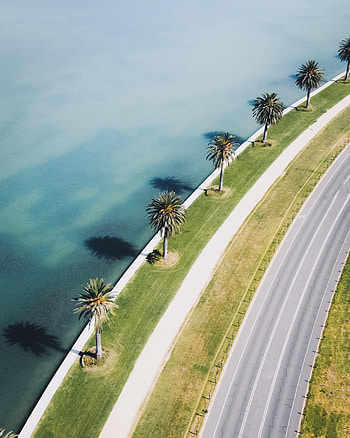 Nature, Sea, Palms, View From Above, Shore, Bank, Road HD phone wallpaper