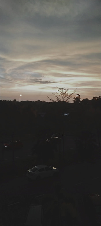 Asthethic, Nature, Dark, Malaysia HD phone wallpaper