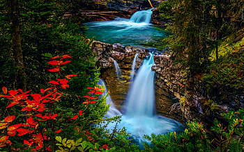 Bertha Falls, Jonston Creek, Banff NP, river, leaves, fall, trees, colors, canada, rocks, alberta HD wallpaper