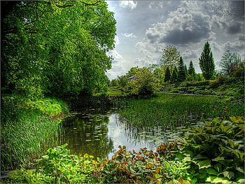 heaven in green, green, heaven, pond HD wallpaper