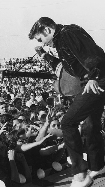 Tupelo 1956, Elvis Presley HD phone wallpaper