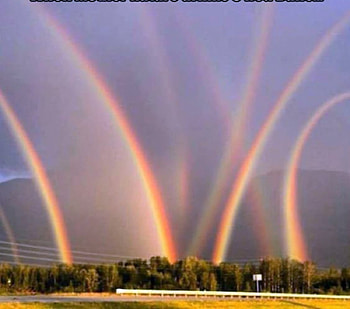 Rainbows, Trees, Nature, Colorful, Sky HD wallpaper