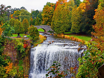 Waterfall, bridge, autumn, nature, sunner, water HD wallpaper