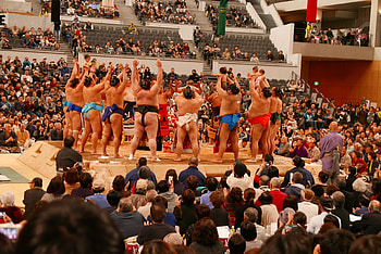 Sumo time, Saunterlife HD wallpaper