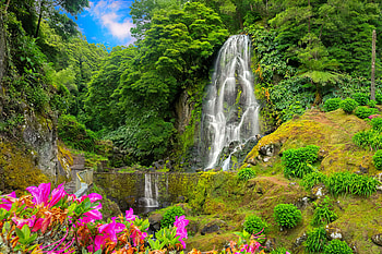Exotic waterfall, exotic, island, summer, Portugal, waterfall, beautiful, forest HD wallpaper