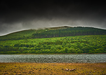 Nature, Rivers, Trees, Beach, Forest, Hill HD wallpaper