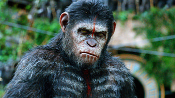 Planet of the Apes, , , and tablet HD wallpaper