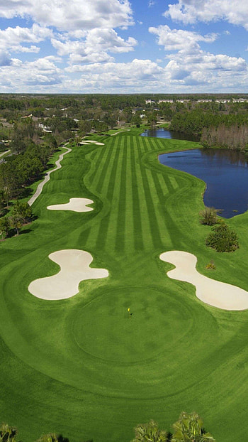 Westchase Tampa, Golf Course HD phone wallpaper