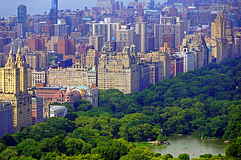 Central Park , Captivating background, Breathtaking , Stunning visual HD wallpaper