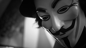 Fawkes HD wallpaper